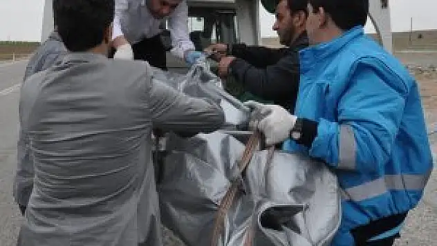 Konya'da bir kadın bıçaklanarak öldürüldü