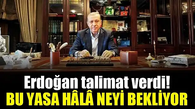 Erdoğan talimat verdi! Bu yasa hâlâ neyi bekliyor