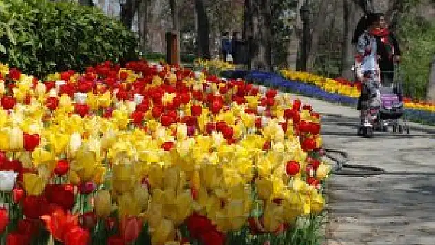 Bahar yorgunluğunuzu enerji menüsüyle atın!