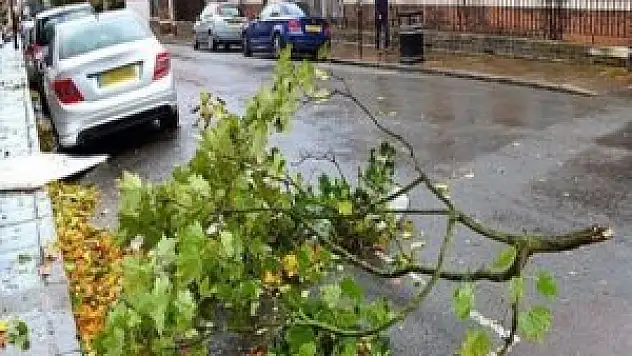 ABD'de fırtına: 12 ölü