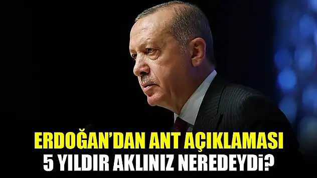 Cumhurbaşkanı Erdoğan'dan çok sert 'Ant' tepkisi