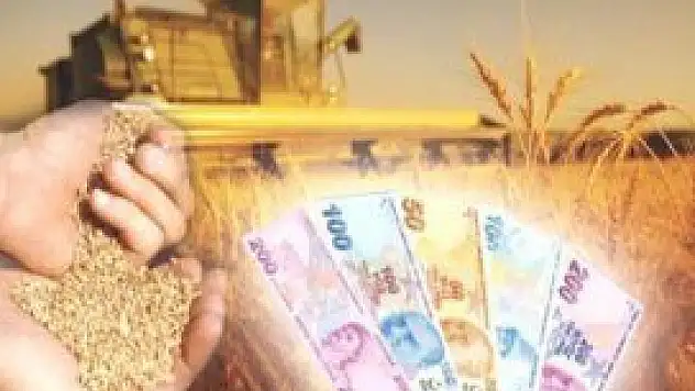 76 yatırımcıdan 54'üne hibe desteği