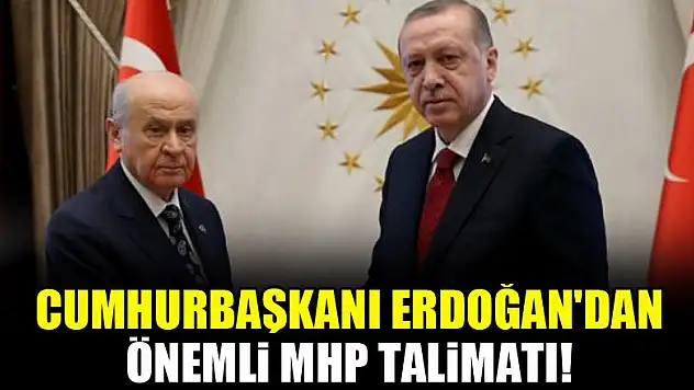 Cumhurbaşkanı Erdoğan'dan önemli MHP talimatı!