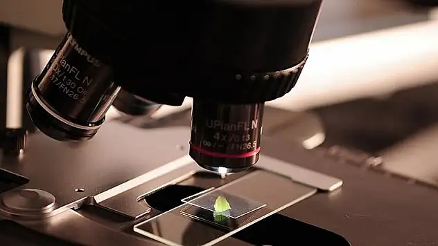 Atomlar, boşluktaki nesneleri çeken ışınla kapana kıstırıldı