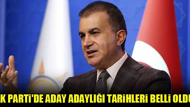AK Parti'de aday adaylığı tarihleri belli oldu