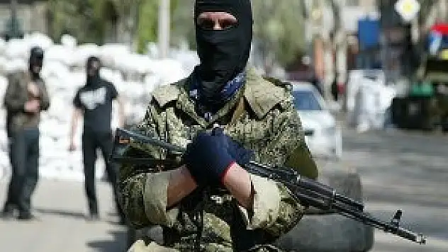 Askeri gözlemciler serbest