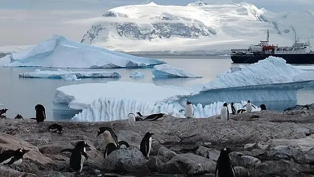 'Antarktika'yı Türkiye ile beraber keşfedeceğiz'