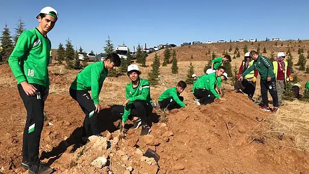 Genç Kartallar, fidan dikti