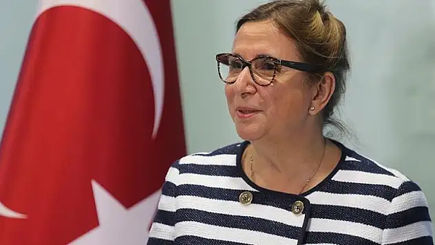 Ticaret Bakanı Pekcan: Gümrük kapılarında modernleşmeye gidiyoruz