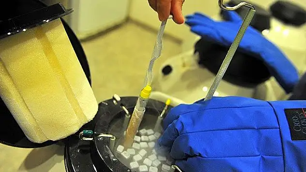 Dünya kısırlaşıyor