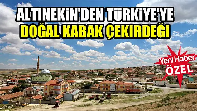 Altınekin'den Türkiye'ye doğal kabak çekirdeği