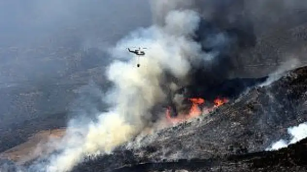 ABD'de 9 ayrı noktada orman yangını