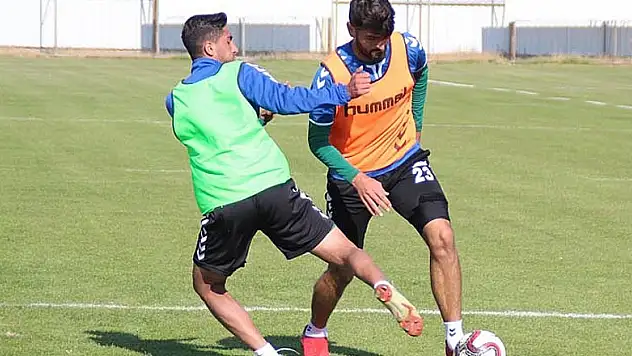 Anadolu,  Darıca'yı gözüne kestirdi