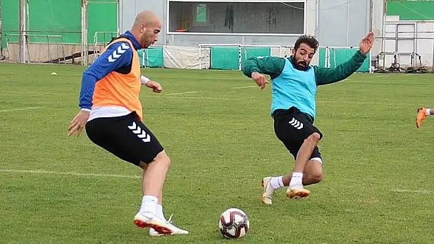 Anadolu, Darıca'ya gitti