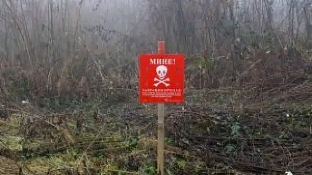 Bosna Hersek'te 'mayın' tehlikesi