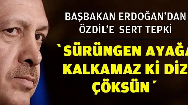 'Sürüngen ayağa kalkamaz ki diz çöksün'