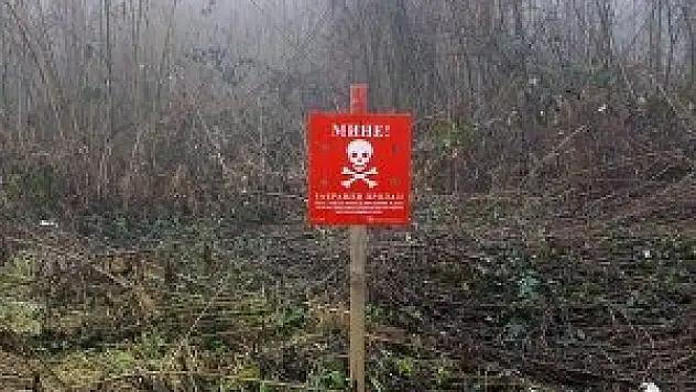 Bosna'da selden etkilenen mayın patladı