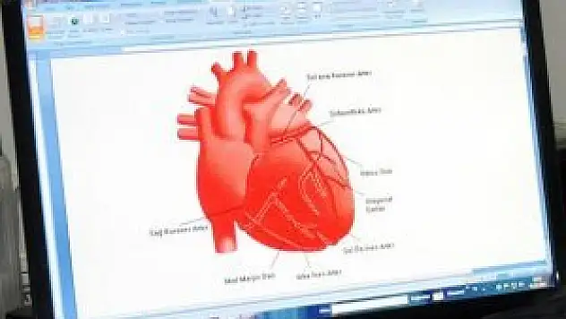 Pirinç tanesinden küçük elektronik kalp pili üretildi