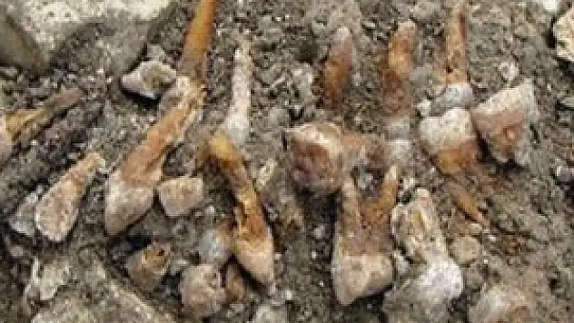 İnsanoğlunun 'ilk takma dişi'