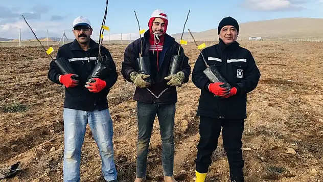 Buğdayın memleketi Ilgın'da ceviz ve badem yetiştirecekler