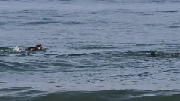 Sedat Yüce'nin cesedi bulundu