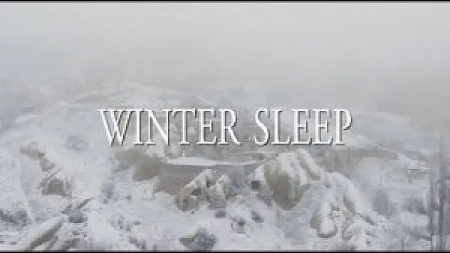 'Kış Uykusu' 13 Haziran'da vizyona girecek