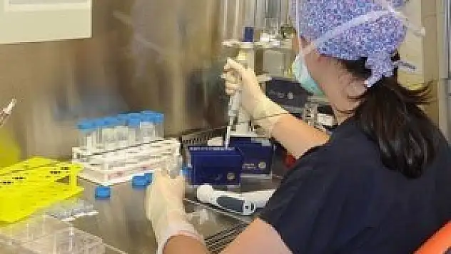 Kök hücre bekleyenlere müjde