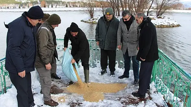 Seydişehir'de kuşlar ve yaban hayvanlarına yem bırakıldı