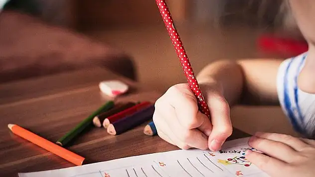 Darüşşafaka Eğitim Kurumlarına giriş sınavına başvurular başladı