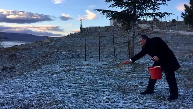 Ilgın'da yabani hayvanlar için doğaya yem bırakıldı