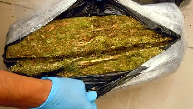 Sulama borularından 115 kilo esrar çıktı