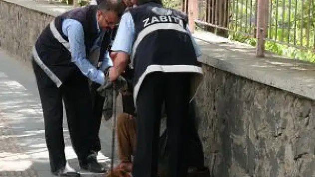 Ramazanda seyyar satıcıya izin yok