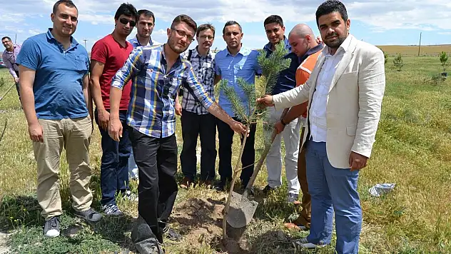 Soma şehitleri anısına fidan dikildi