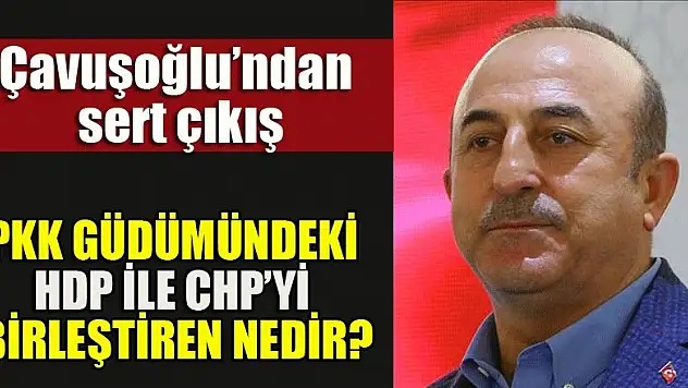 PKK güdümündeki HDP ile CHP'yi birleştiren nedir?