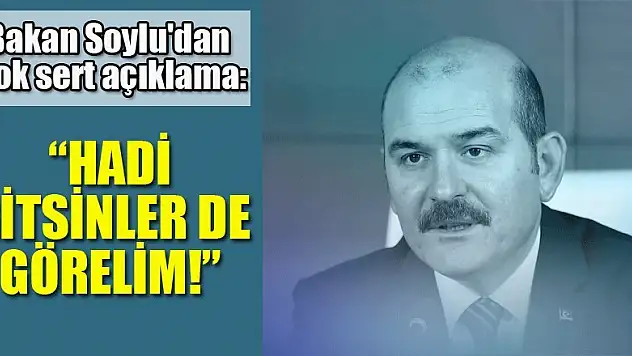Bakan Soylu'dan çok sert açıklama: Hadi gitsinler görelim!