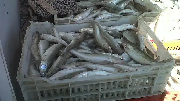 Beyşehir Gölü'nde avcılık faaliyetlerine sıkı denetim