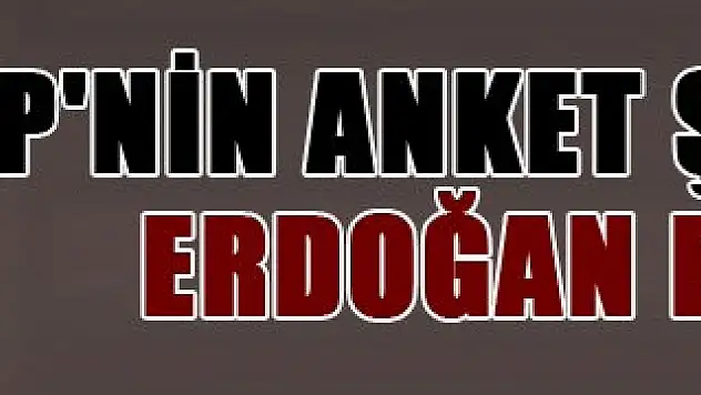 CHP'nin anket şirketi de Erdoğan dedi!