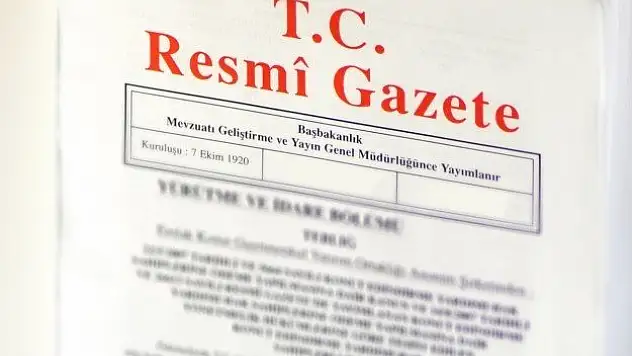 Cumhurbaşkanı seçiminin yurt dışı süreci Resmi Gazete'de