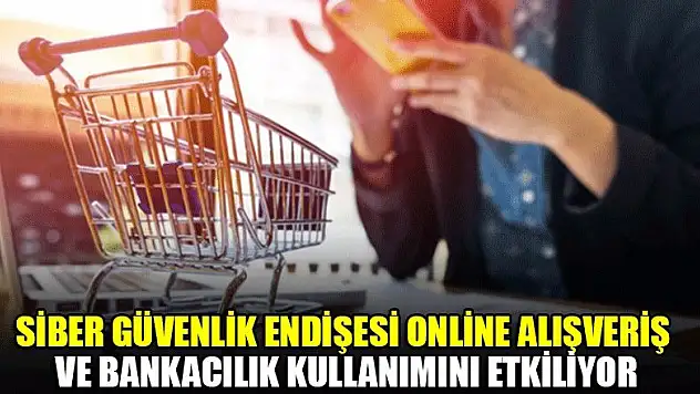 Siber güvenlik endişesi online alışveriş ve bankacılık kullanımını etkiliyor