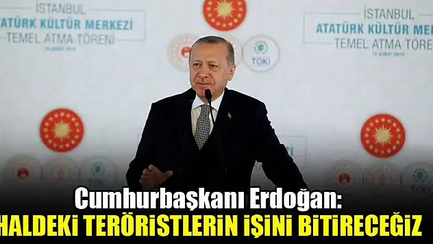 Cumhurbaşkanı Erdoğan: Haldeki teröristlerin işini bitireceğiz