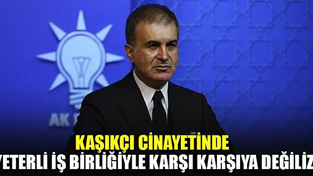 Kaşıkçı cinayetinde yeterli iş birliğiyle karşı karşıya değiliz
