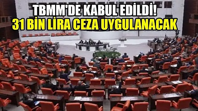 TBMM'de kabul edildi! 31 bin lira ceza uygulanacak