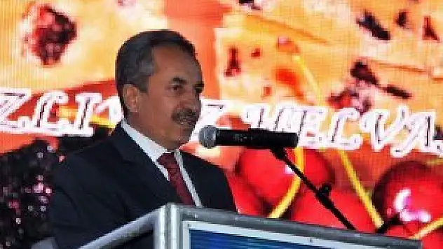 Akşehir'de kiraz ve kültür sanat festivali