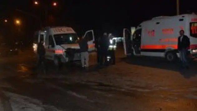 Can kurtaralım derken canlarından oluyorlardı