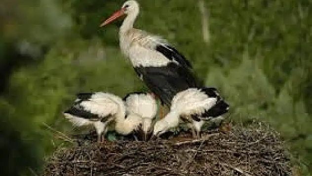 Leylekler Vadisi'nin yeni güzellikleri