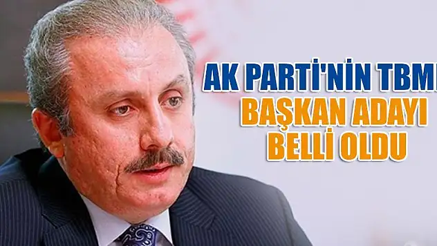 AK Parti'nin TBMM Başkan aday belli oldu