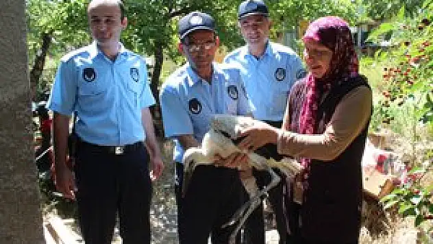 Yaralı leyleğe yardım eli