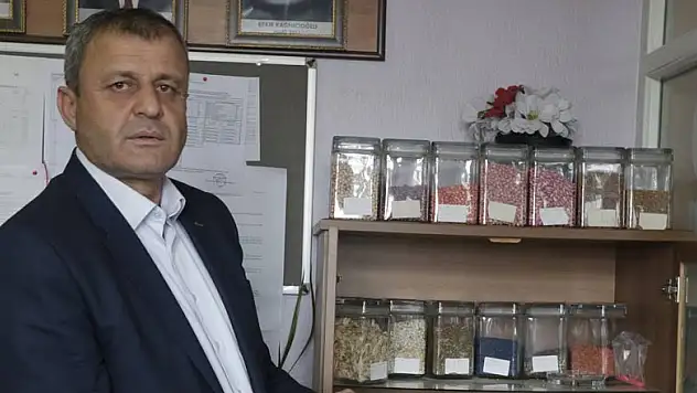 Kafes kuşlarının 'darı'sı Altınekin'den