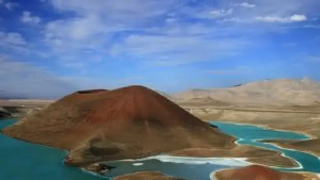 Karapınar'da kuraklığa dayanıklı bitkiler yetiştiriliyor