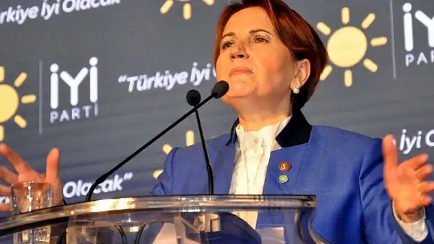 İYİ Parti'de bir toplu istifa daha!